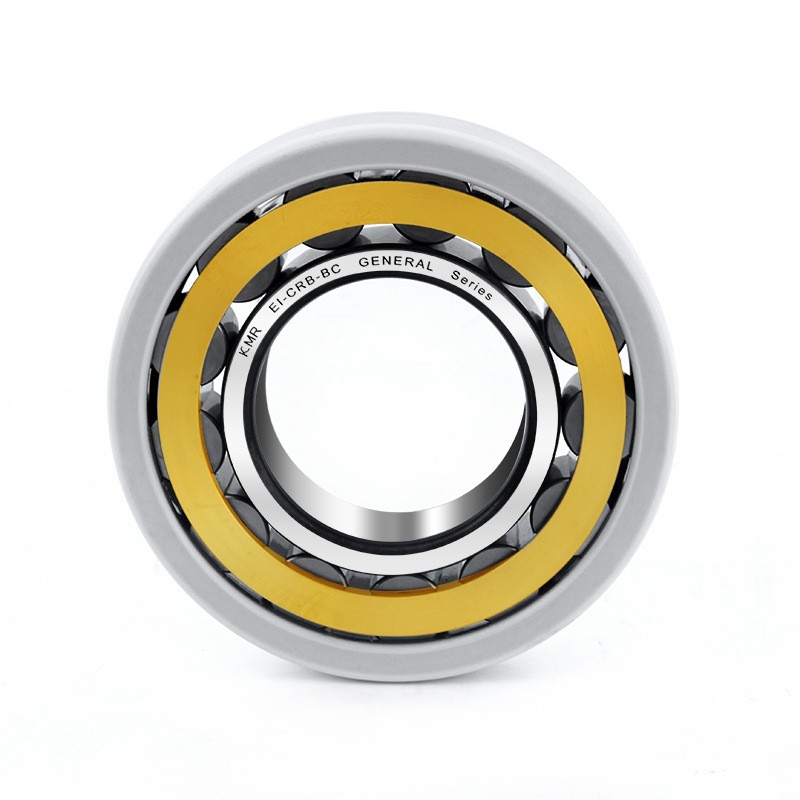 Mixed ceramic cylindrical roller bearing